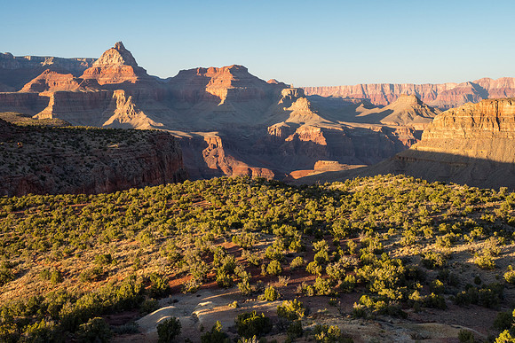 Arizona 2018