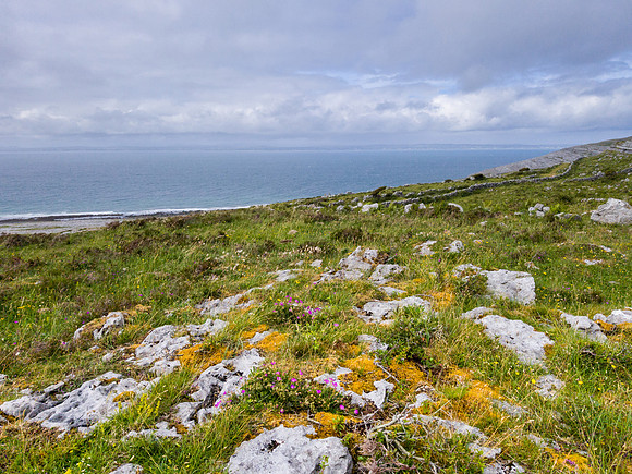 Ireland 2018