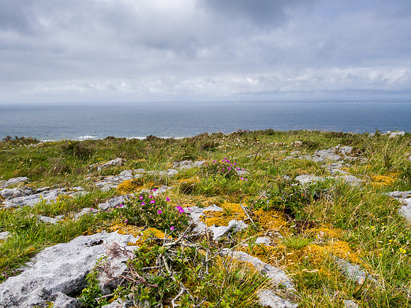 Ireland 2018