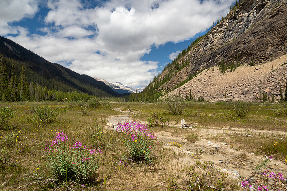 Banff National Park 2025