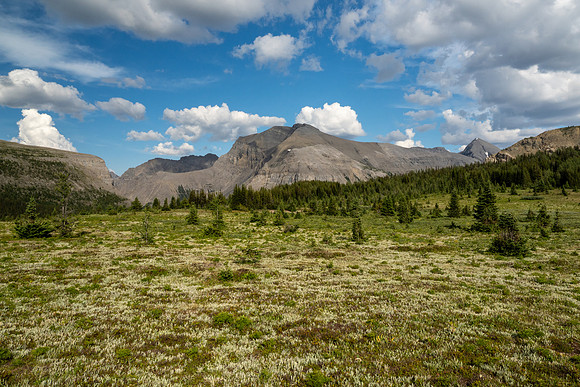 Banff National Park 2025