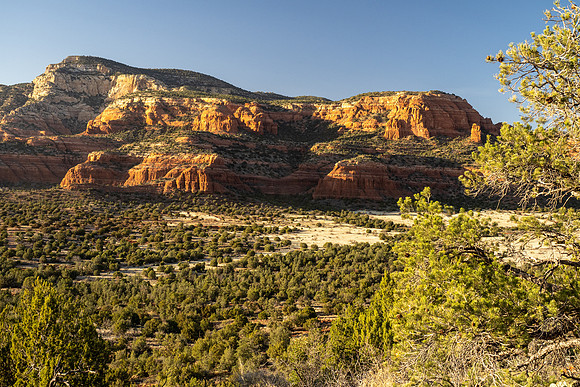 Arizona 2021
