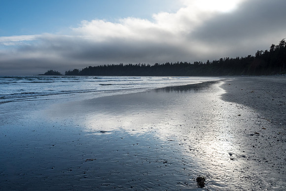 Pacific NW 2018
