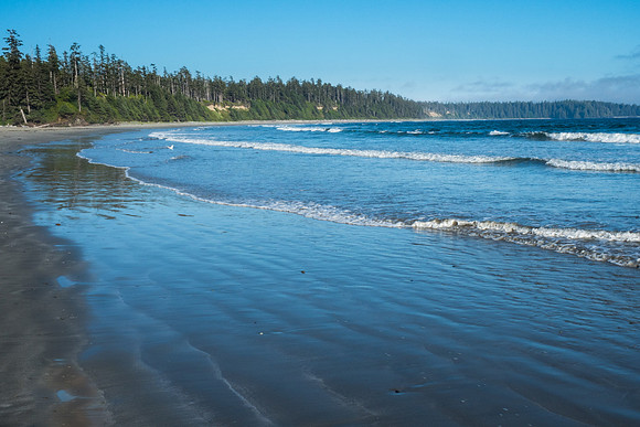 Pacific NW 2018