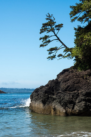 Pacific NW 2018