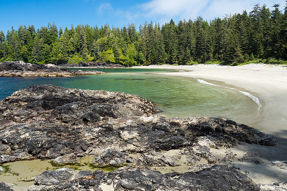 Pacific NW 2018