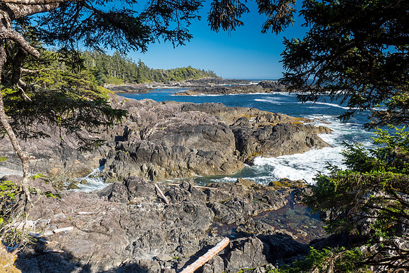 Pacific NW 2018