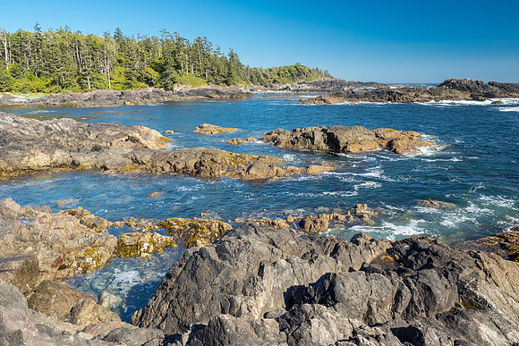 Pacific NW 2018
