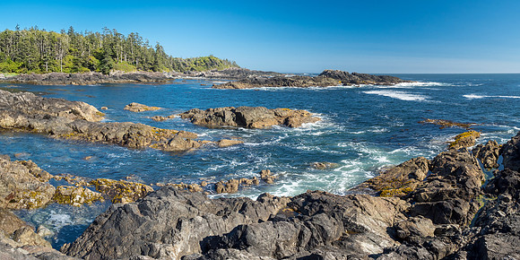 Pacific NW 2018