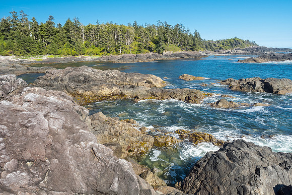 Pacific NW 2018