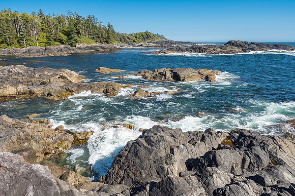 Pacific NW 2018