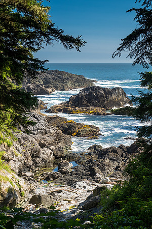 Pacific NW 2018