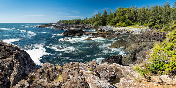 Pacific NW 2018