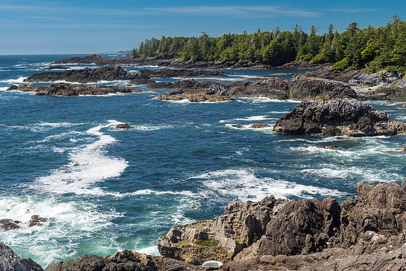 Pacific NW 2018