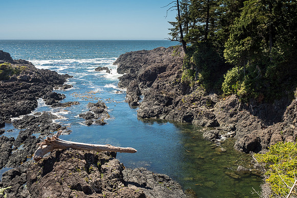 Pacific NW 2018