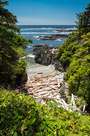 Pacific NW 2018