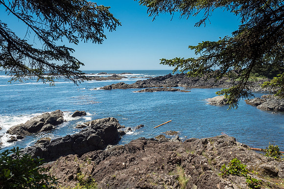 Pacific NW 2018