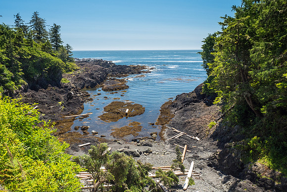 Pacific NW 2018