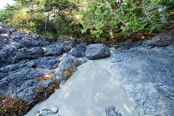 Pacific NW 2018
