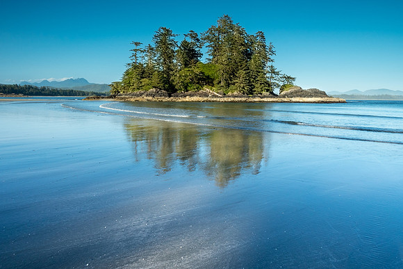 Pacific NW 2018