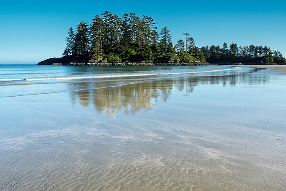 Pacific NW 2018