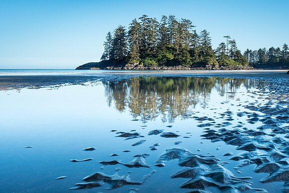 Pacific NW 2018