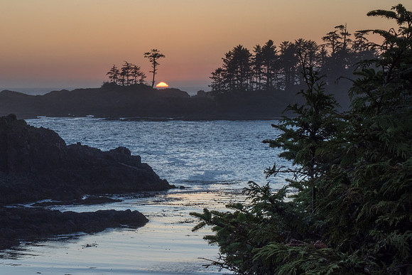 Pacific NW 2018