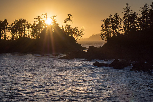 Pacific NW 2018