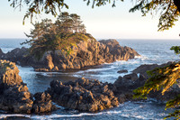 Vancouver Island (2018 & 2019)