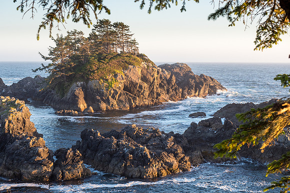 Pacific NW 2018
