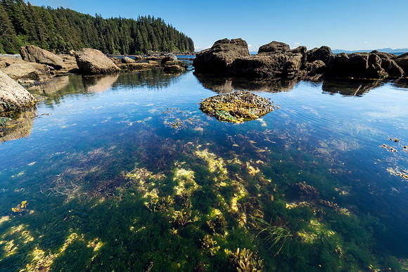 Pacific NW 2018