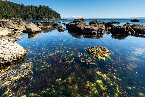 Pacific NW 2018