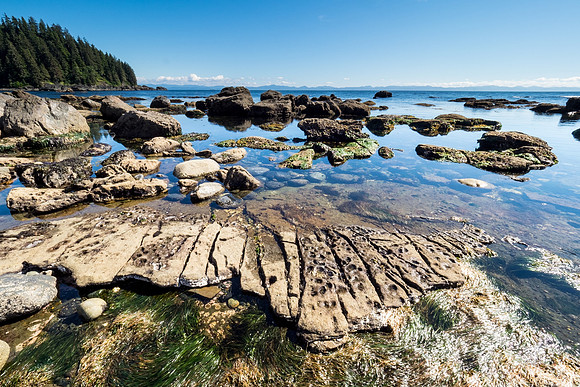 Pacific NW 2018
