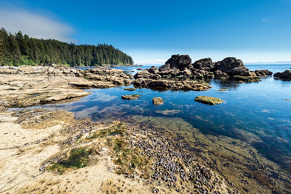Pacific NW 2018