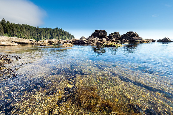 Pacific NW 2018