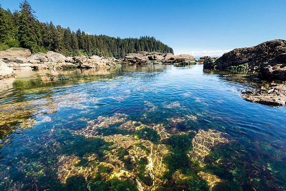 Pacific NW 2018