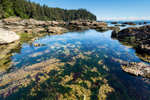 Pacific NW 2018