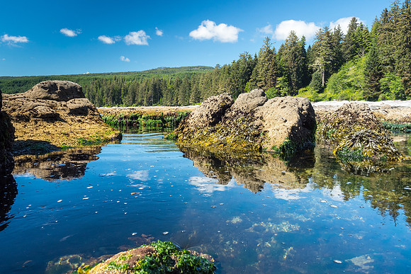 Pacific NW 2018