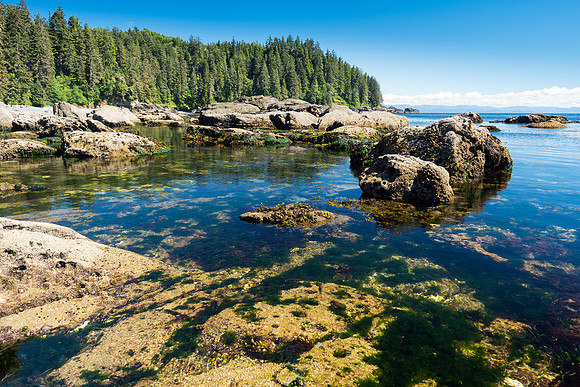 Pacific NW 2018
