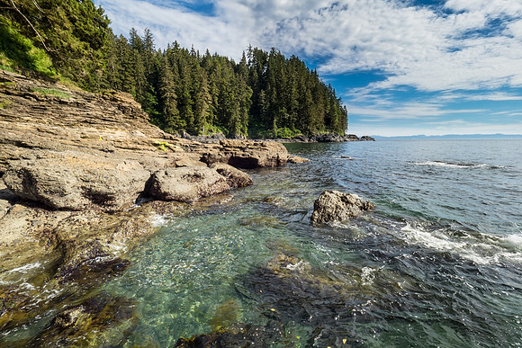 Pacific NW 2018