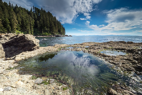Pacific NW 2018