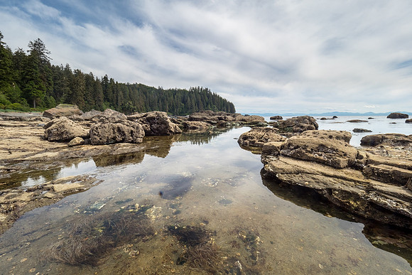 Pacific NW 2018