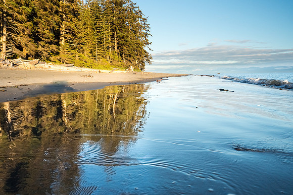 Pacific NW 2018