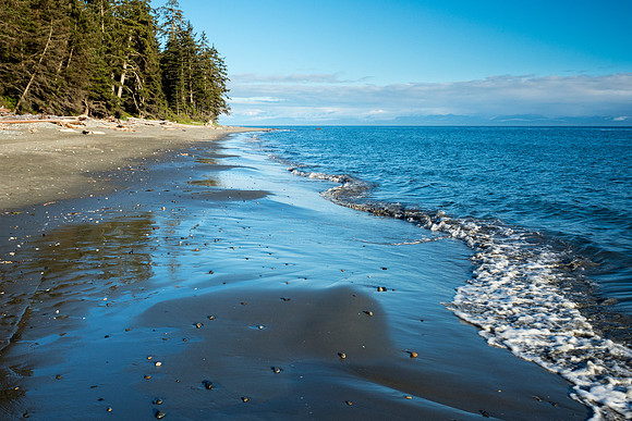 Pacific NW 2018