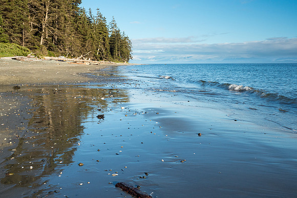 Pacific NW 2018