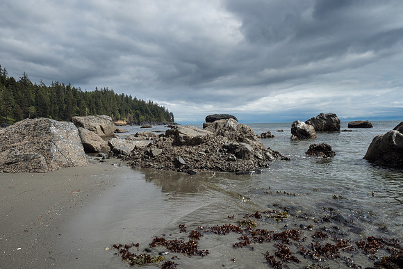 Pacific NW 2018