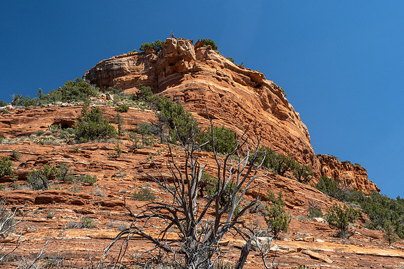 Arizona 2021