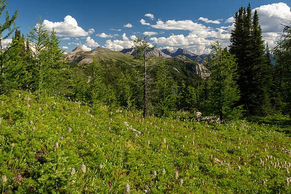 Banff National Park 2025