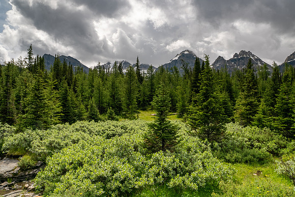 Banff National Park 2025