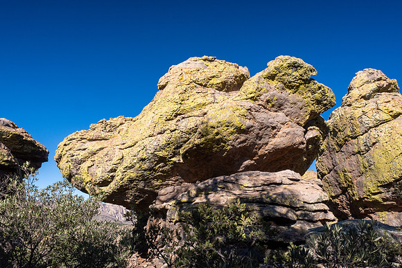 Arizona 2024